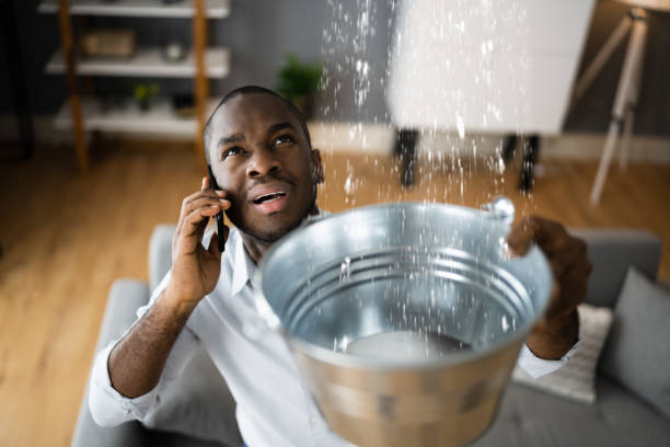 Best Professional water damage repair  in Otisville, NY