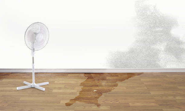 Best Basement water damage restoration  in Otisville, NY