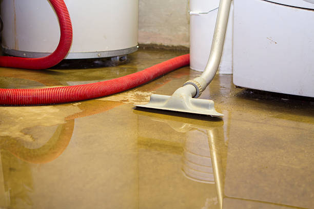 Best 24-hour water damage restoration  in Otisville, NY