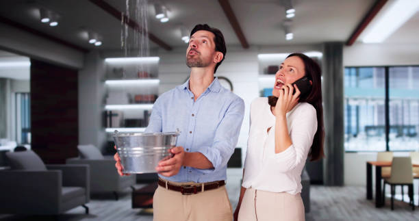 Best Ceiling water damage repair  in Otisville, NY
